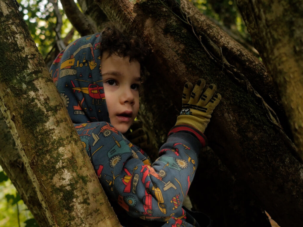 Jeune enfant assis dans un arbre