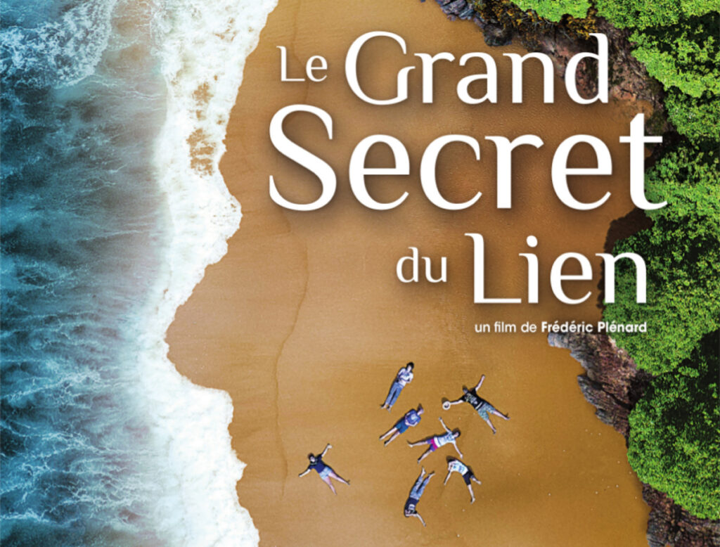 Vue aérienne avec des jeunes allongés sur le sable