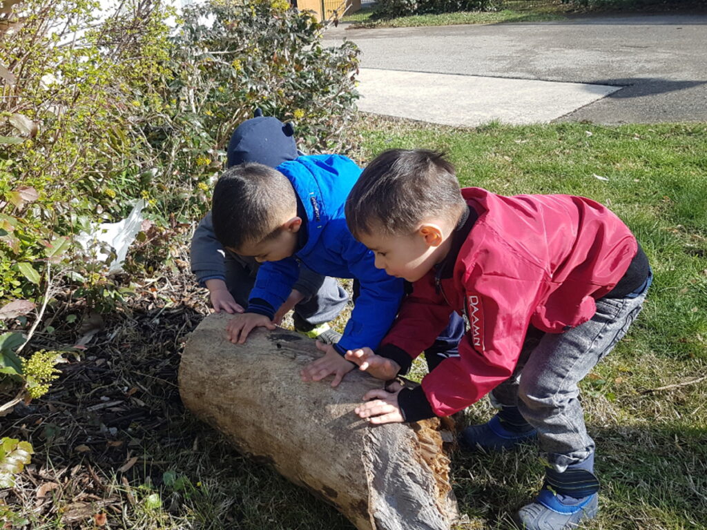 De jeunes enfants poussent un tronc