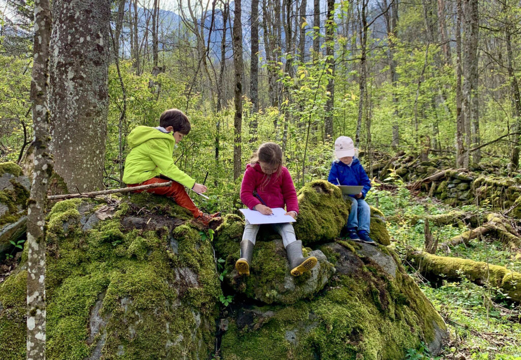 Des enfants dessinent des arbres dans la forêt