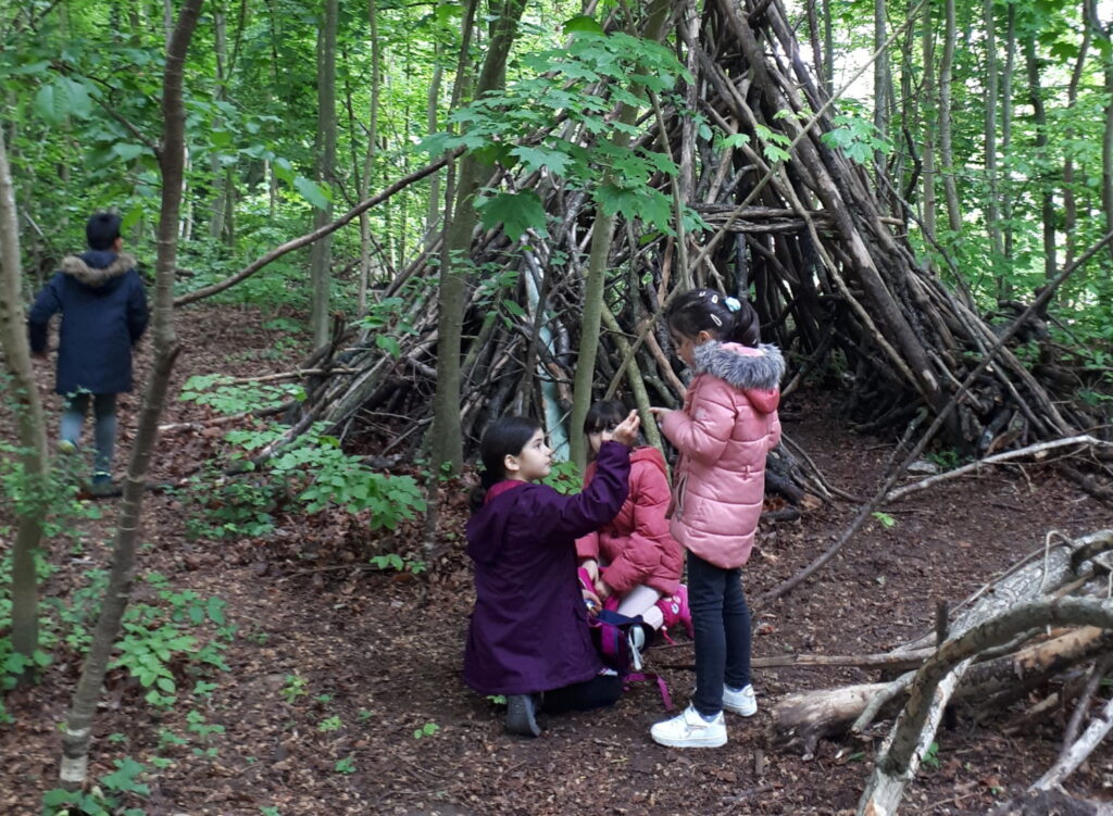 Des enfants font école dehors dans une forêt