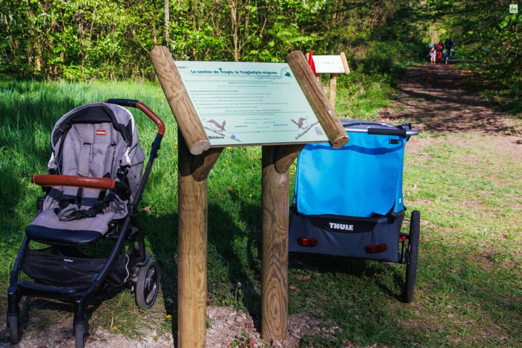 Sentier des bébés en forêt